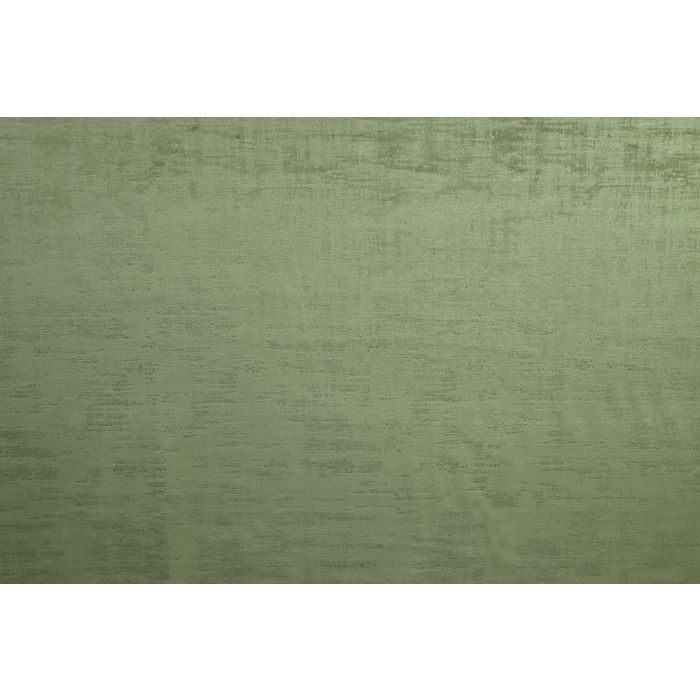 dakota olive