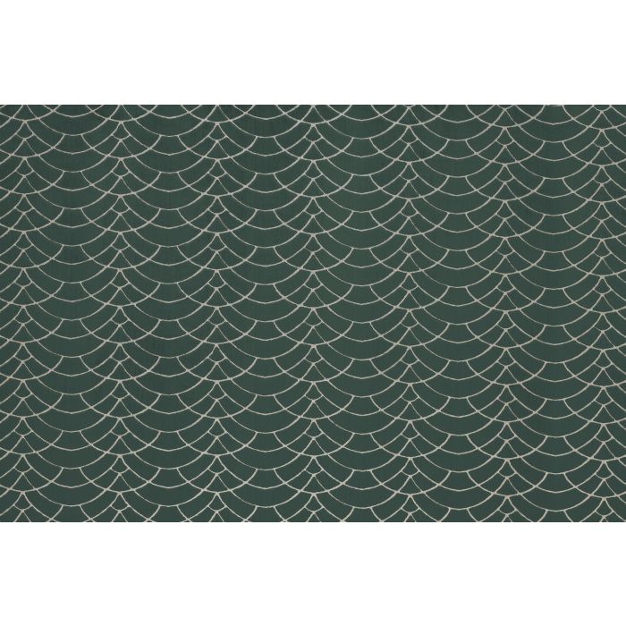 dinaric fern