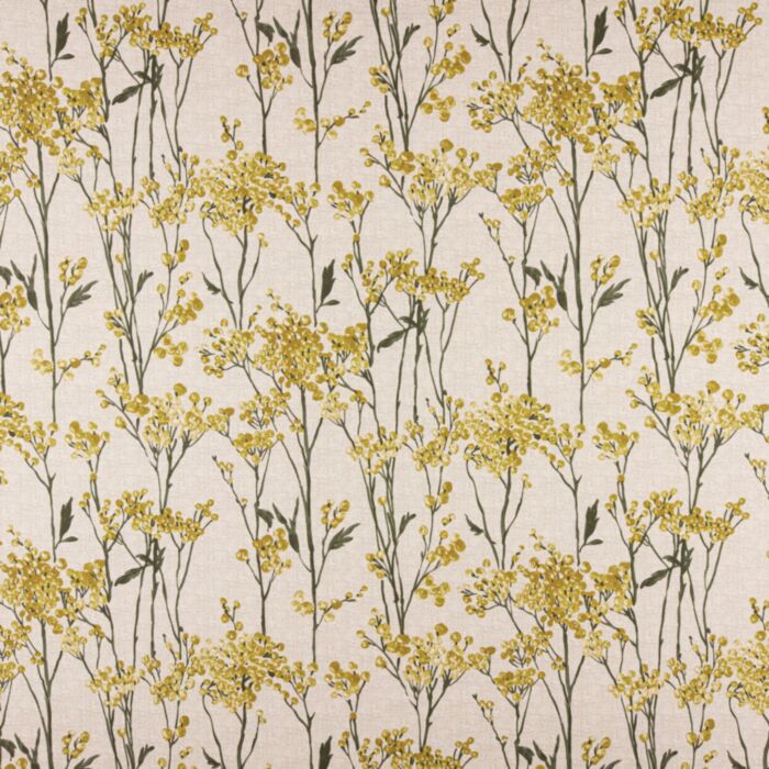 hawthorn maizee