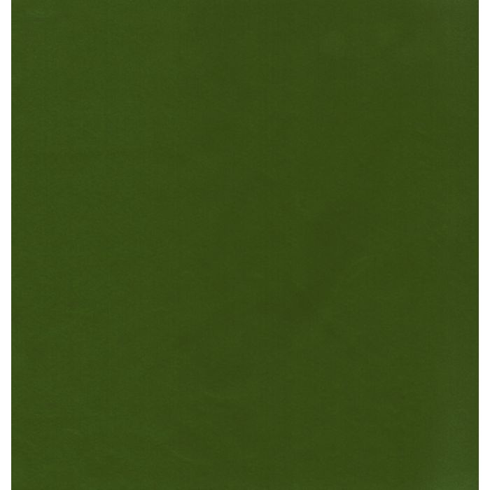 koji fern