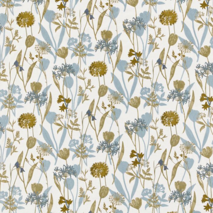 niwa cornflower