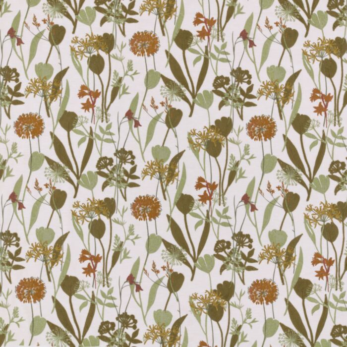 niwa olive