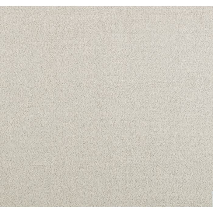 plume oyster