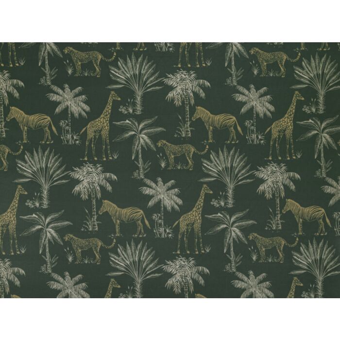 safari fern
