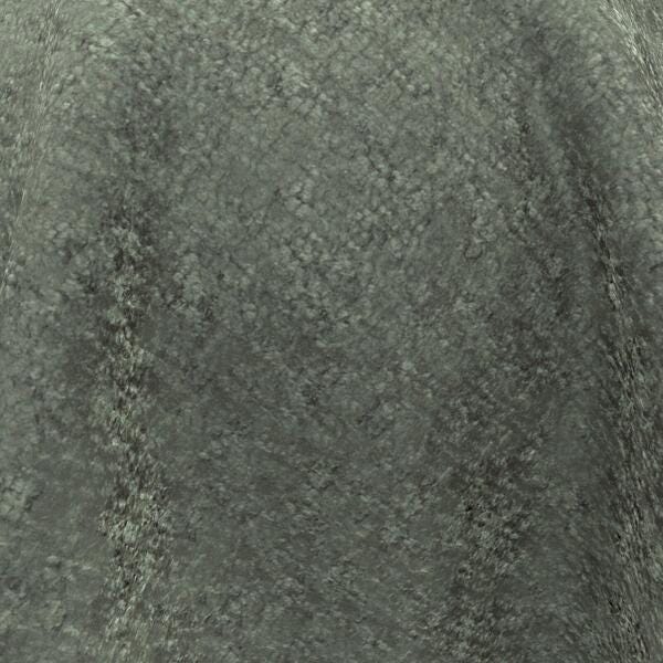 sycamore