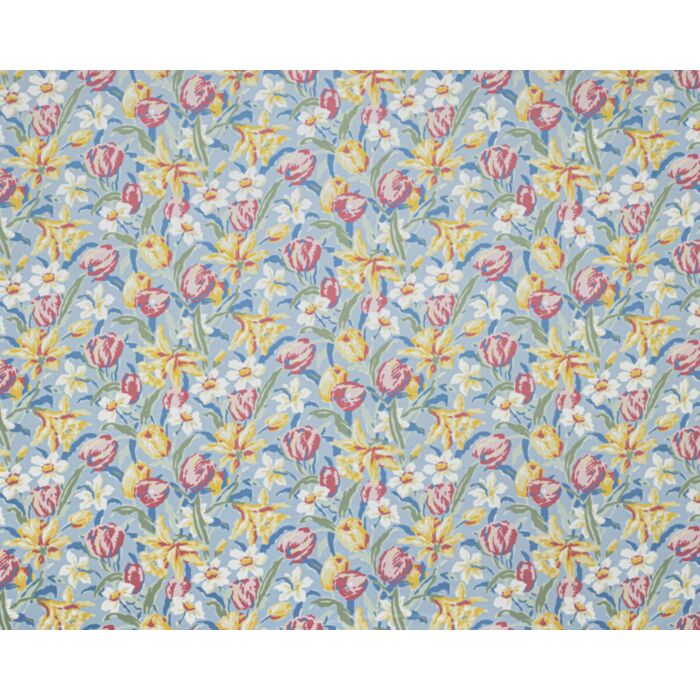 tulips chine blue