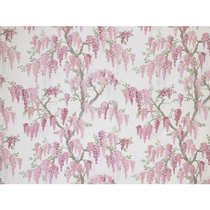 wisteria coral pink