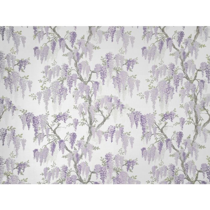 wisteria lavender