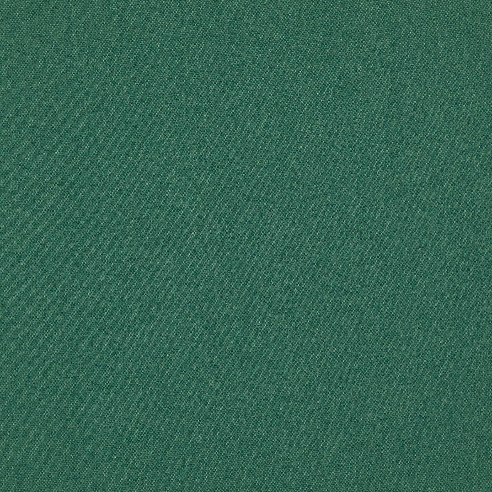 Antares 17 Leaf