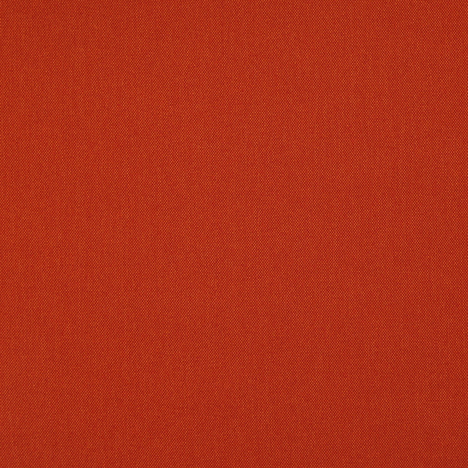 Merino_21-Carrot-