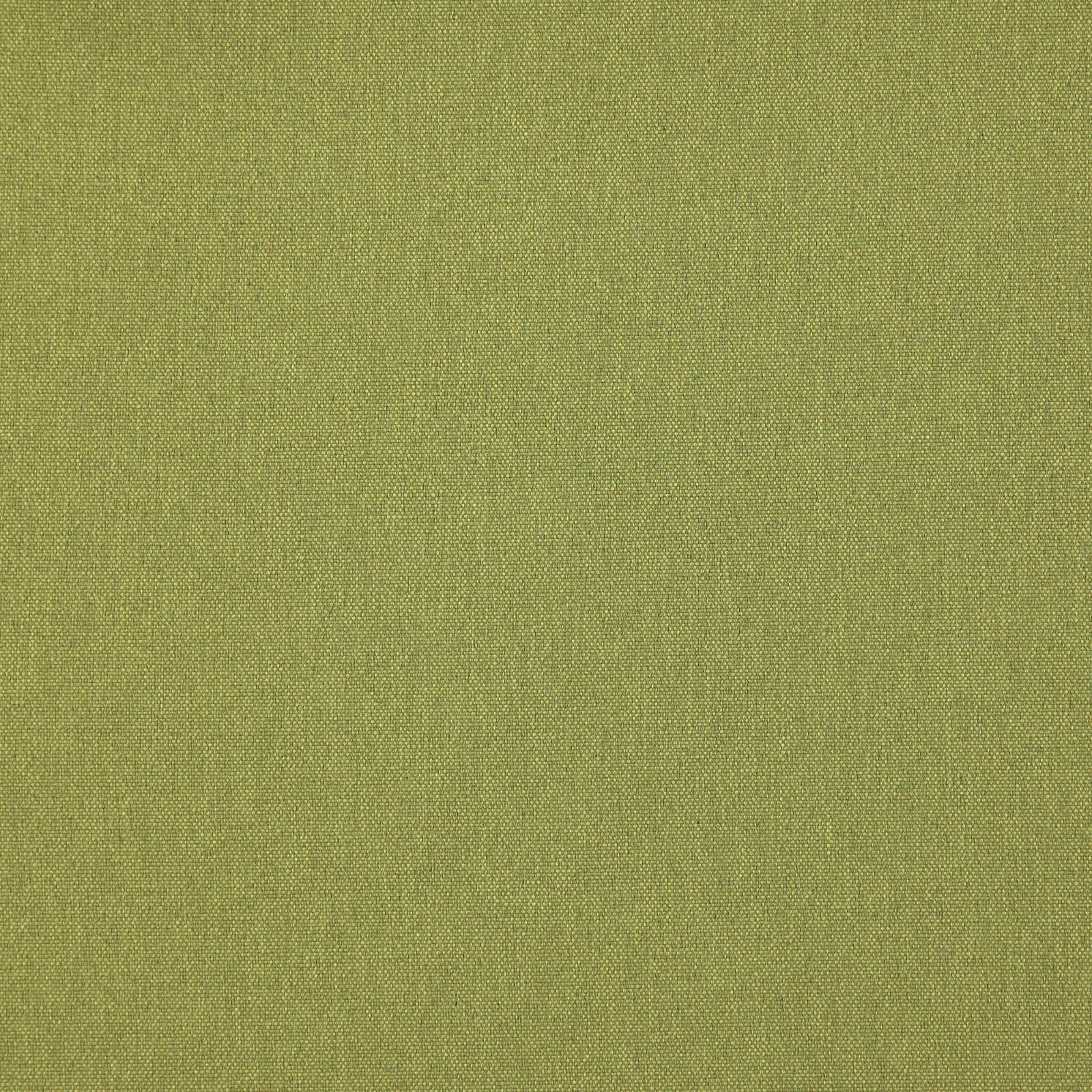 Merino_33-Lettuce-
