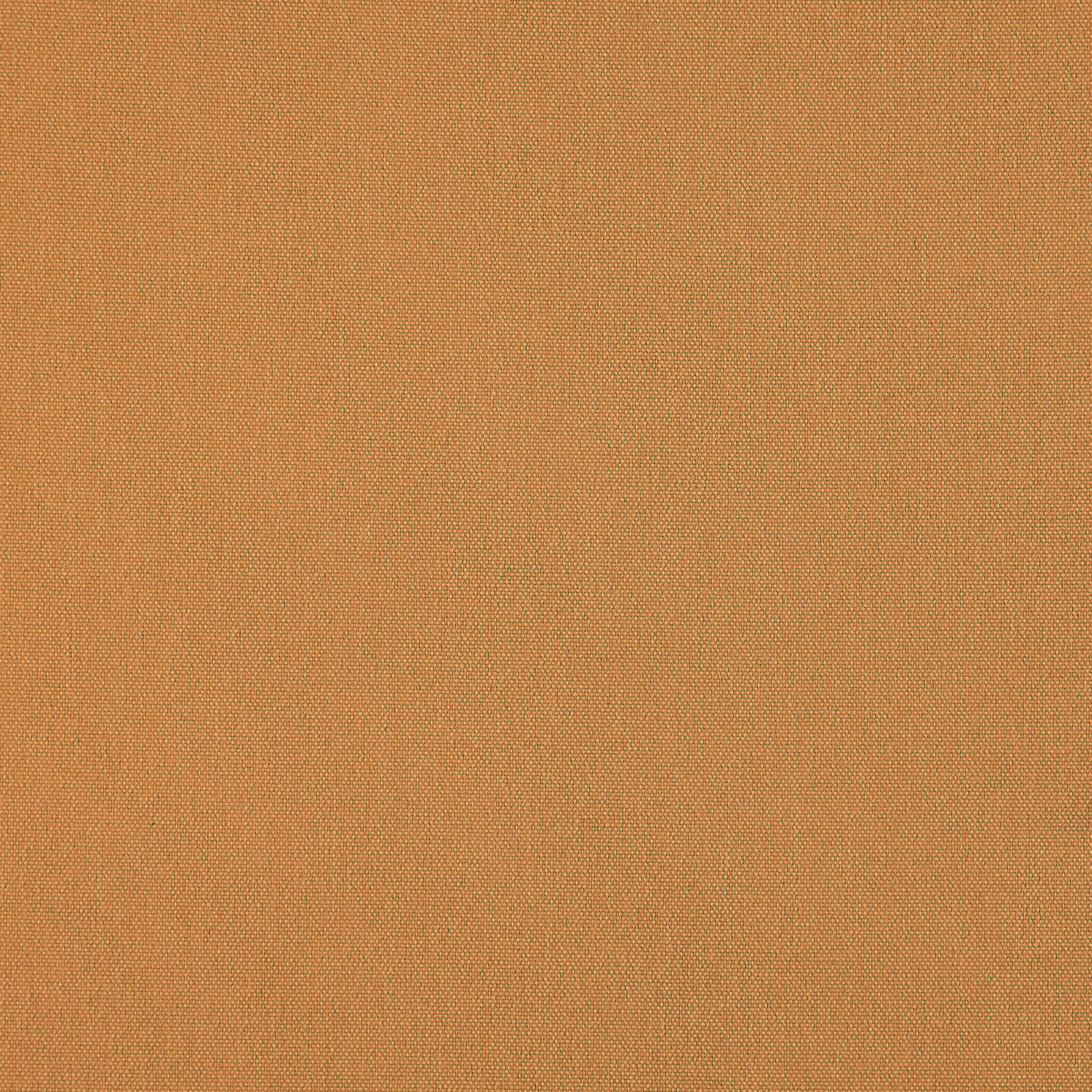 Merino_51-Honey-