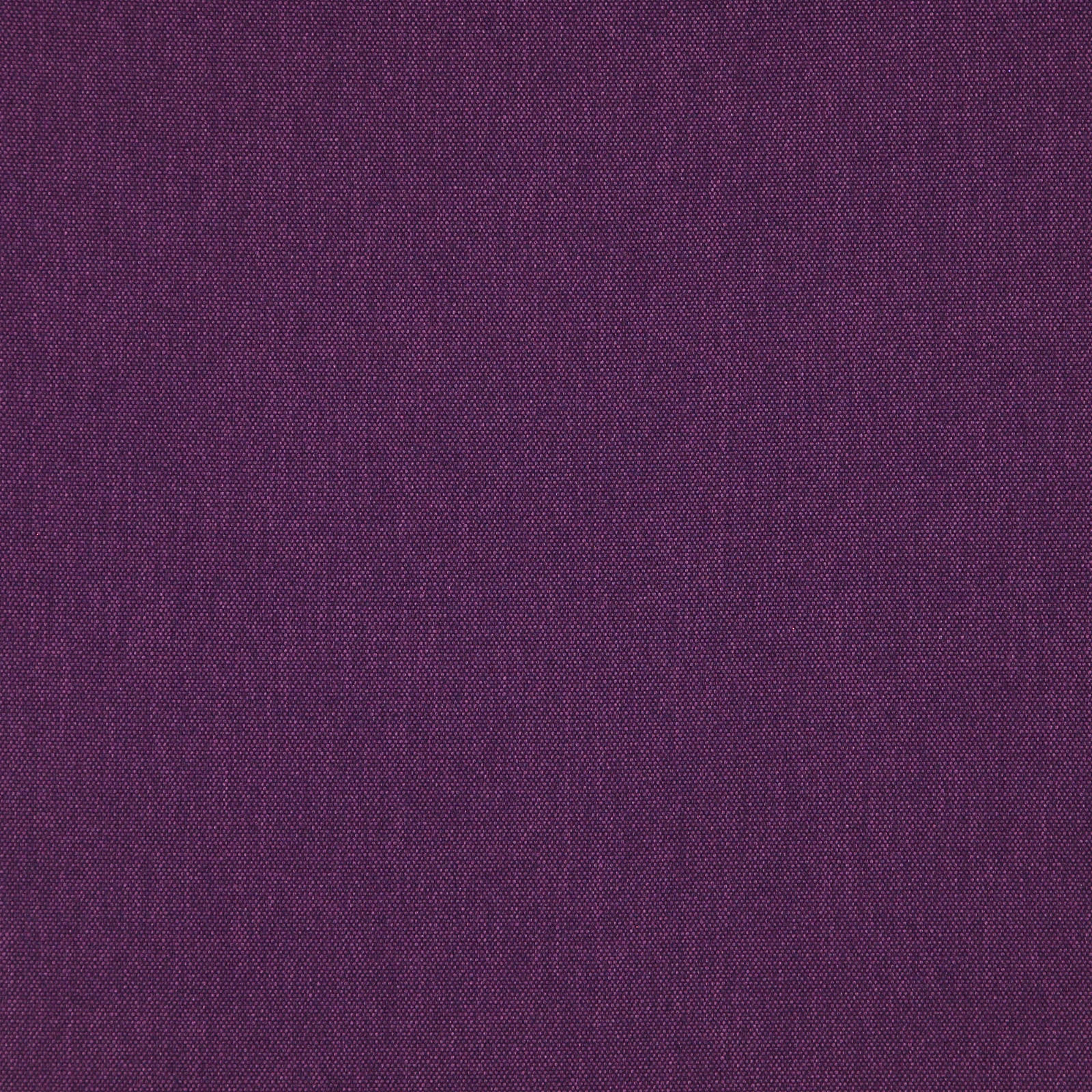Merino_55-Emperor-