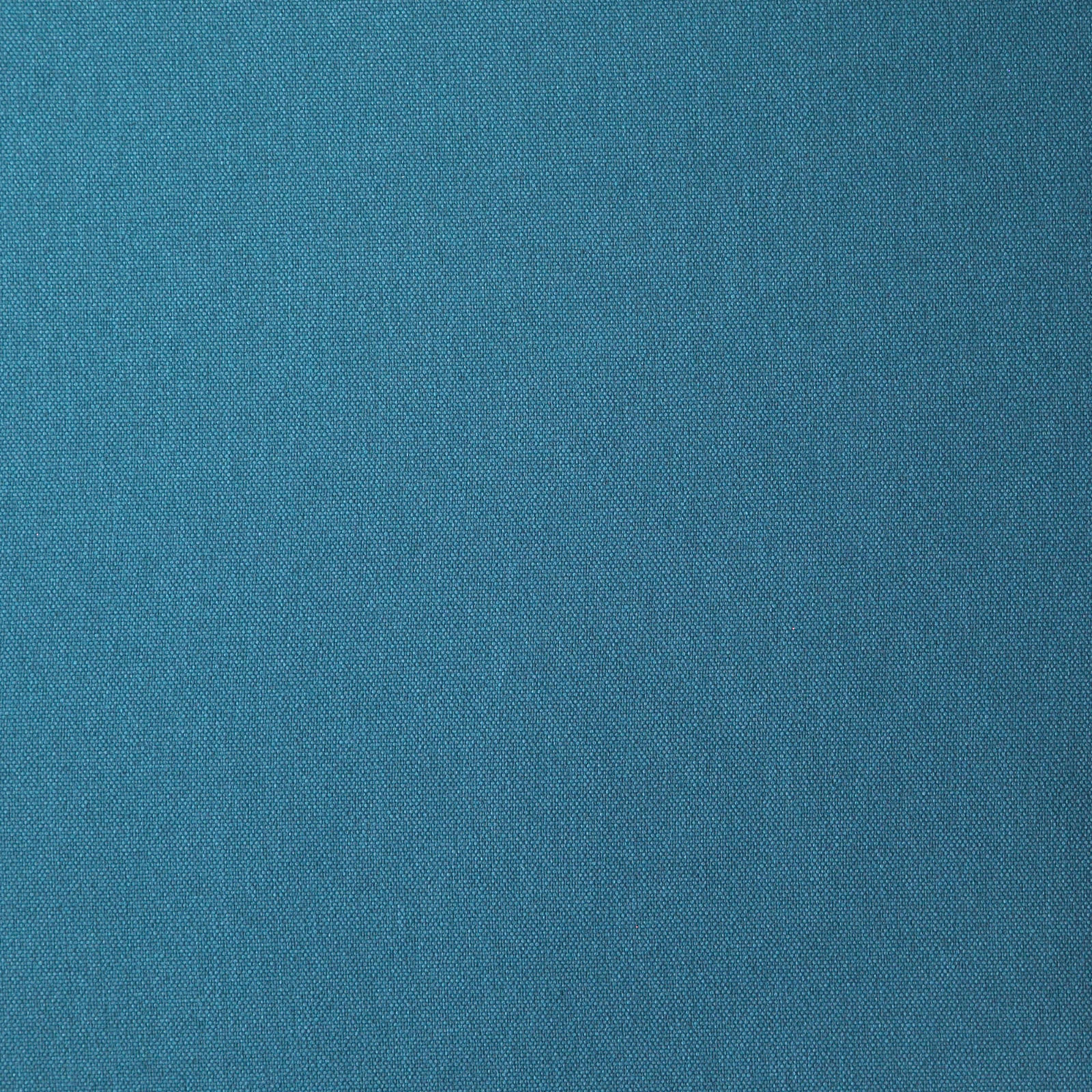 Merino_58-Aquarius-