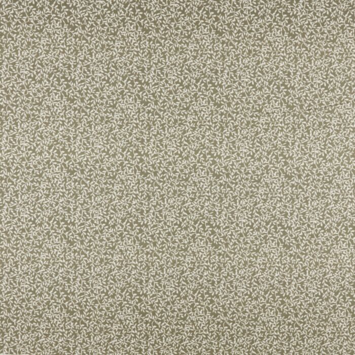 Oregano