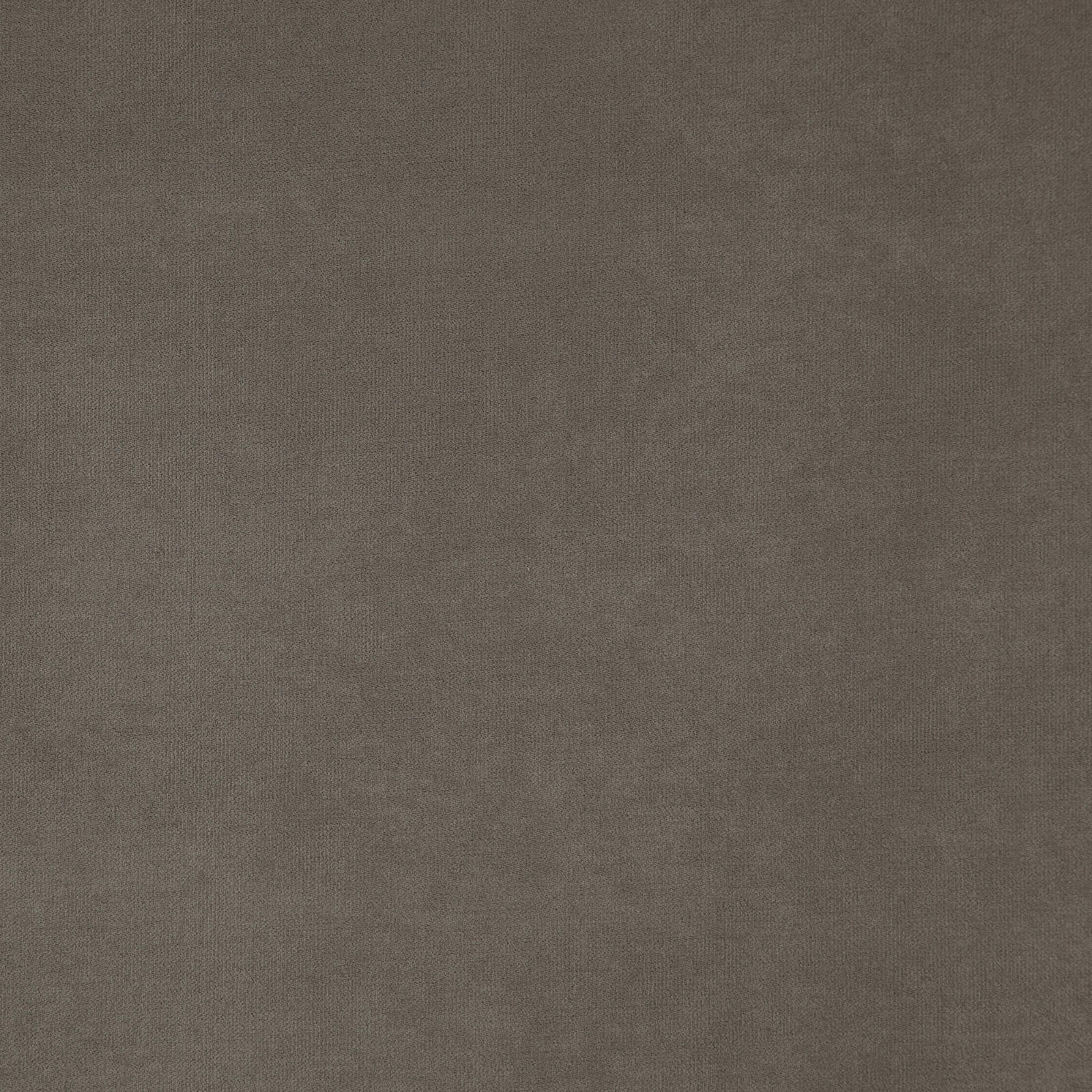 Peak 03 Taupe