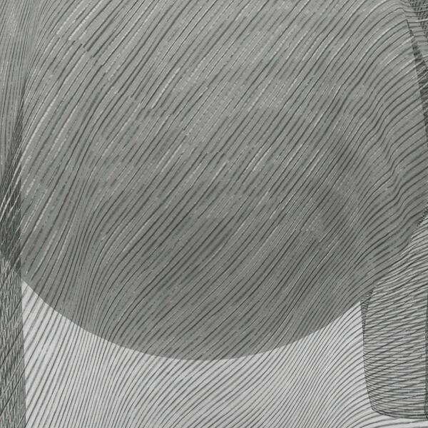 charcoal