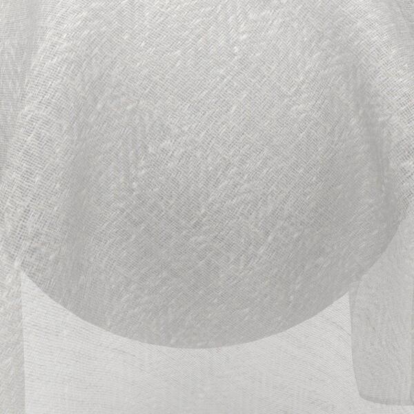 oyster