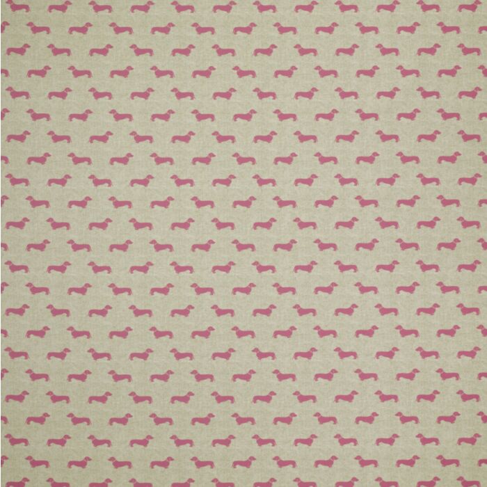 raspberry