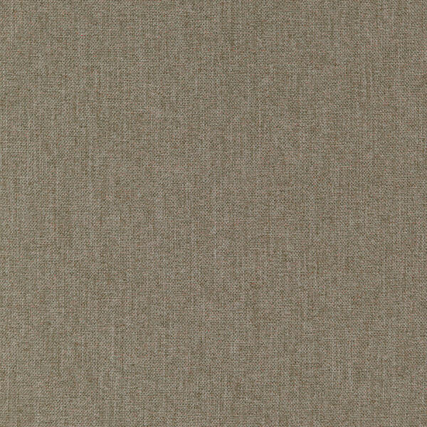 seagrass