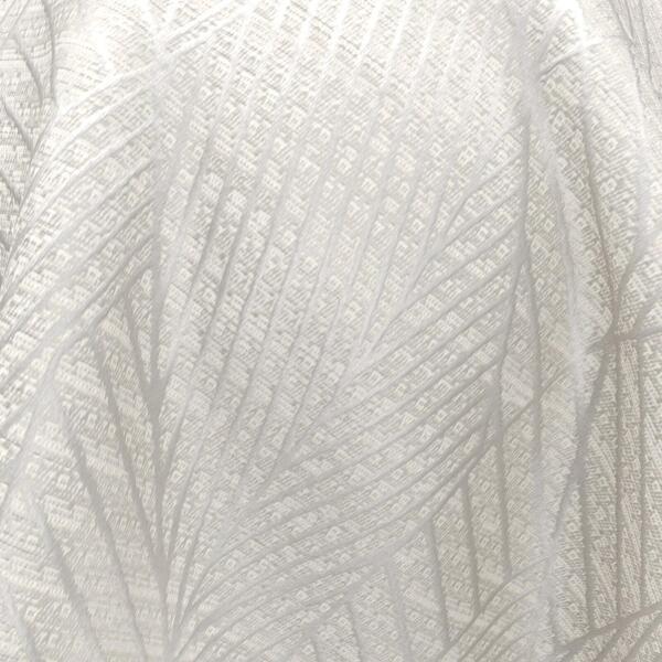 swan