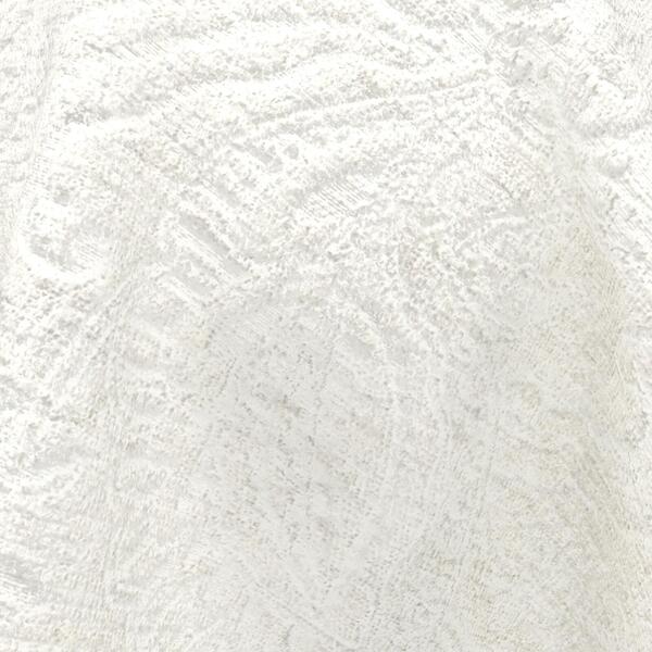 swan