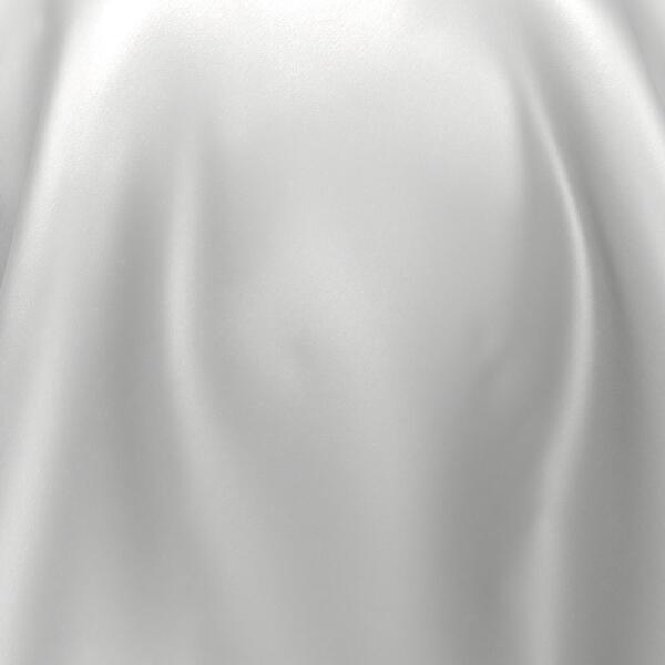swan