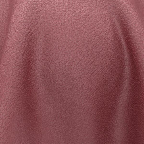 raspberry