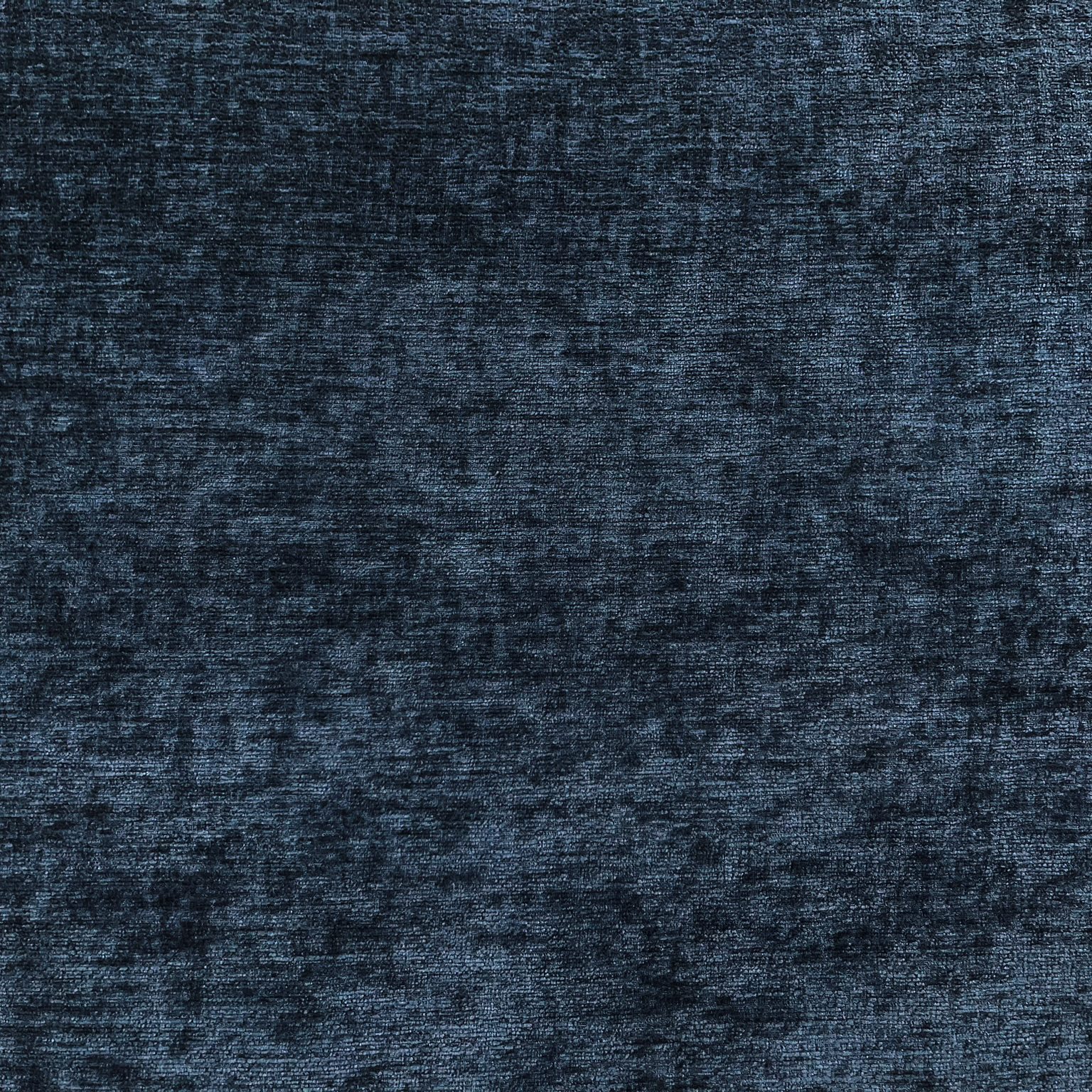 Barcelona hummingbird