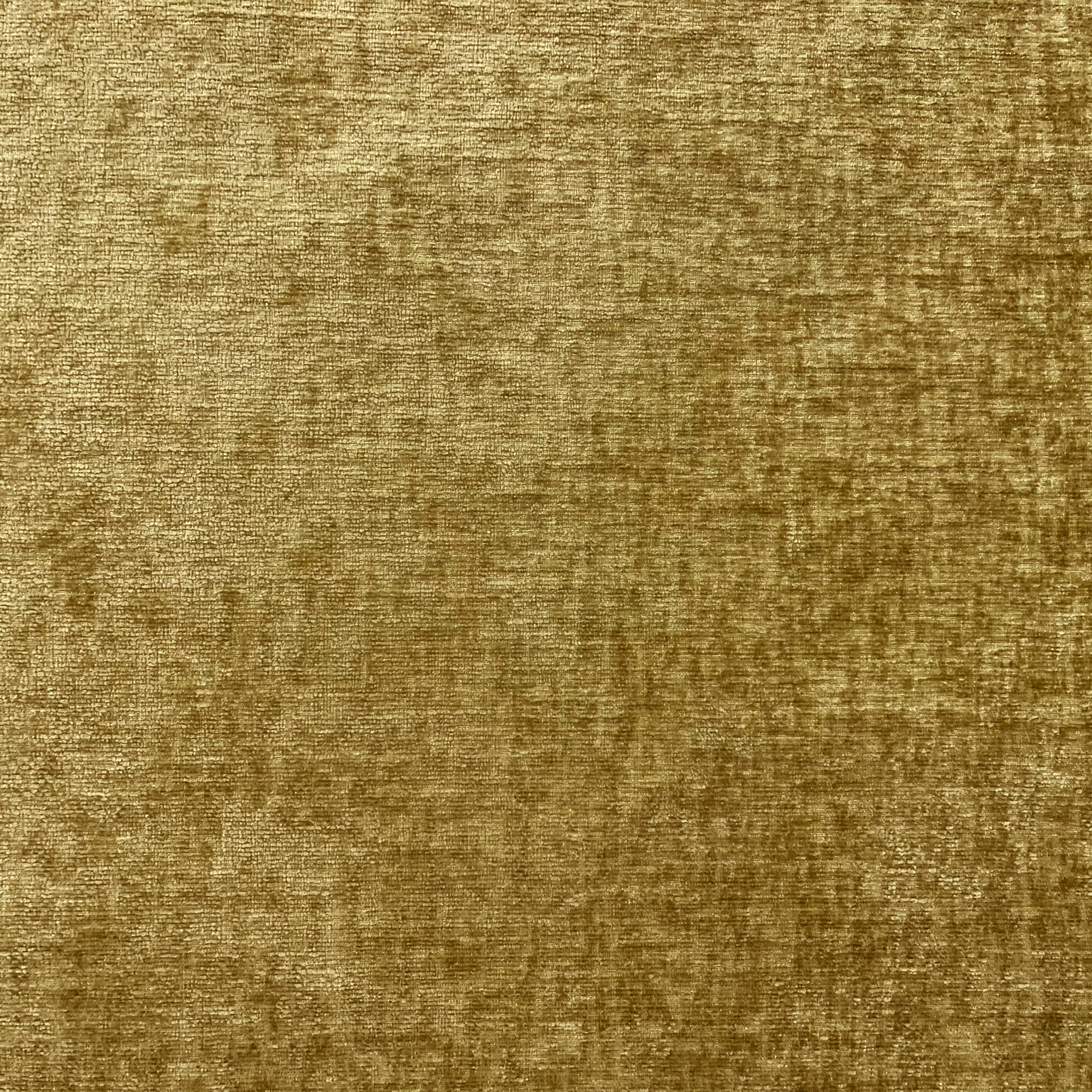 Barcelona lemongrass